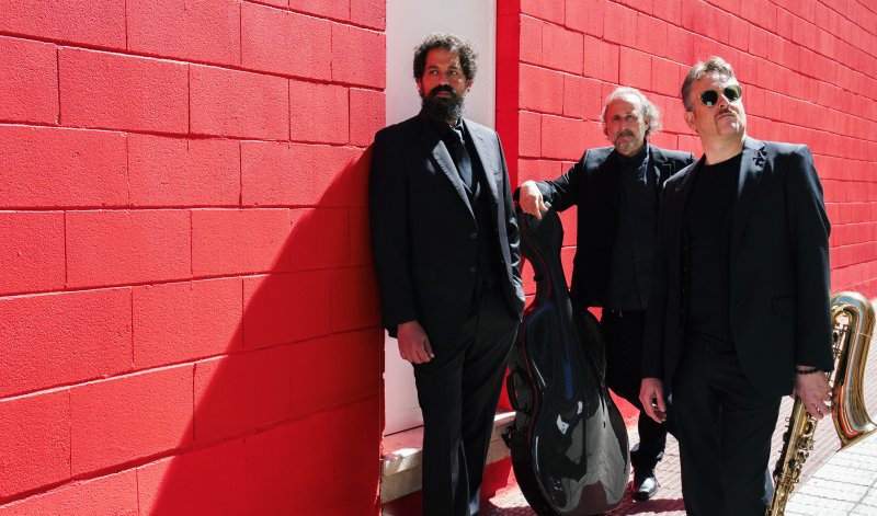 CAMERATA FLAMENCO PROJECT