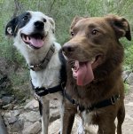 Carlos Taylor-Swanson