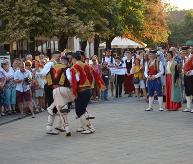 Ensemble Of Traditional (folk) Dances And Songs 