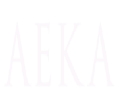 Aeka Academy
