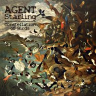 Agent Starling release Constellation of Birds