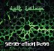CELT ISLAM : “GENERATION BASS” ALBUM [SUFI DUB]