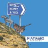 Miltiadis Chalkidis NEW ALBUM