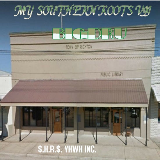 MY SOUTHERN ROOTS VII by BigDru