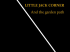 LITTLE JACK CORNER AND THE GARDEN PATH GLENN SALGOUD ALBUM COVER