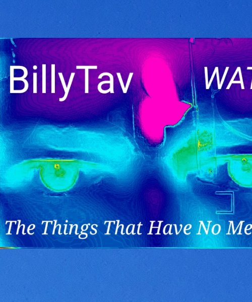 The ThingsThat Have No Meaning  by Billy Tav