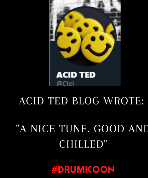 Acid Ted Blog Review by Drumkoon