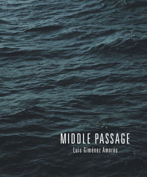 Middle Passage (2019) by Luis Gimenez Amoros