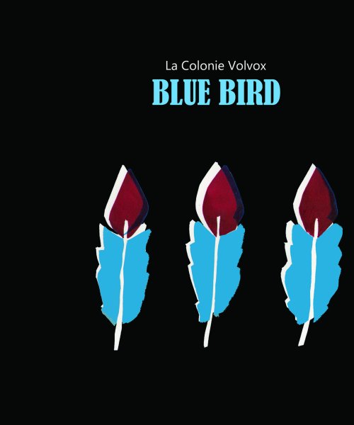 Blue Bird by La Colonie Volvox