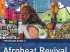 ROUGH GUIDE AFROBEAT