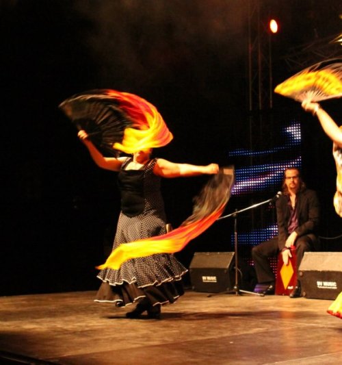 International Gypsy Festival - Slovak by Vitsa Ramanush