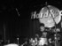Live at Hard Rock Cafe Boston 4
