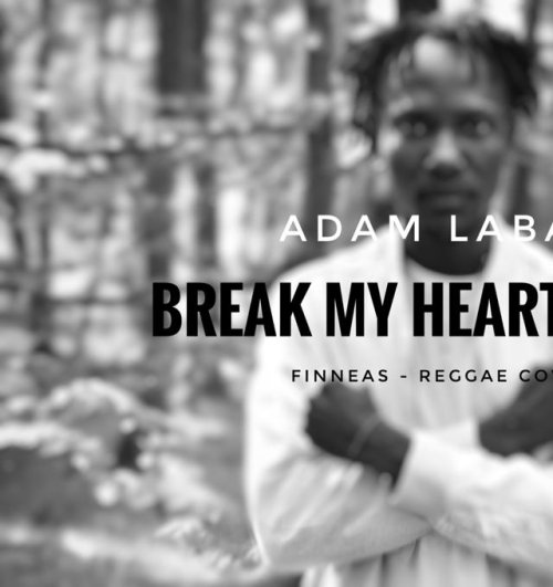 FINNEAS - BREAK MY HEART AGAIN | Reggae Cover By Adam Labar  by Adam Labar