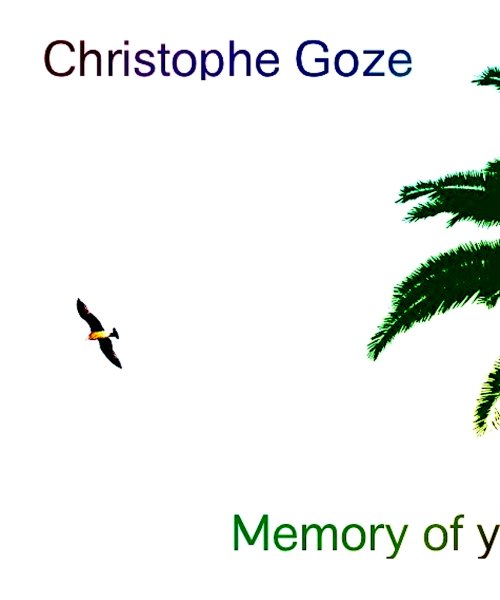 Memory of you by Christophe Goze