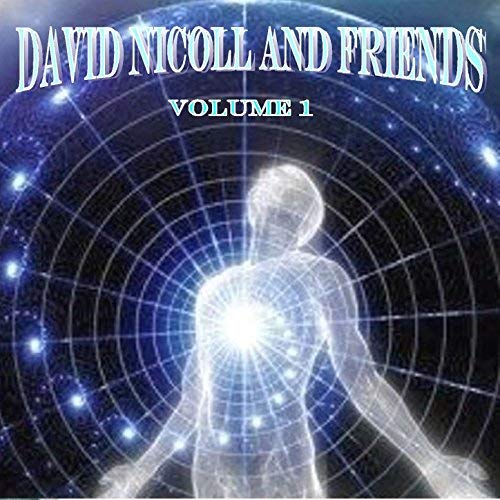 David Nicoll and friiends Vol 1 by David Nicoll And Friends