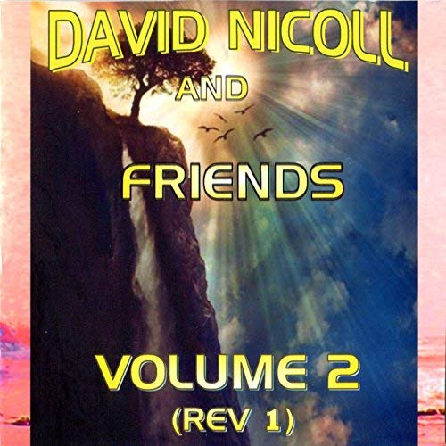 David Nicoll and friends Vol 2 by David Nicoll And Friends