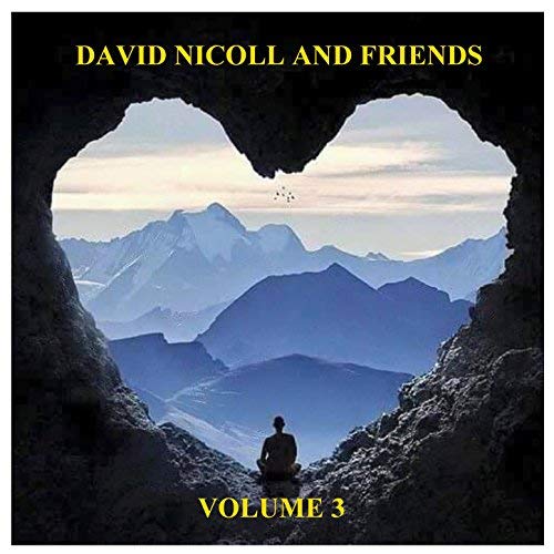 David Nicoll and friends Vol 3 by David Nicoll And Friends